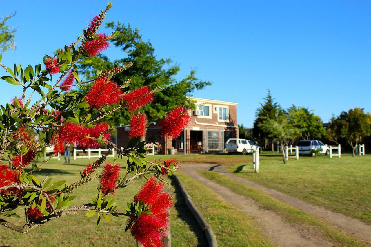 African Adventures Accommodation Durbanville Exterior foto