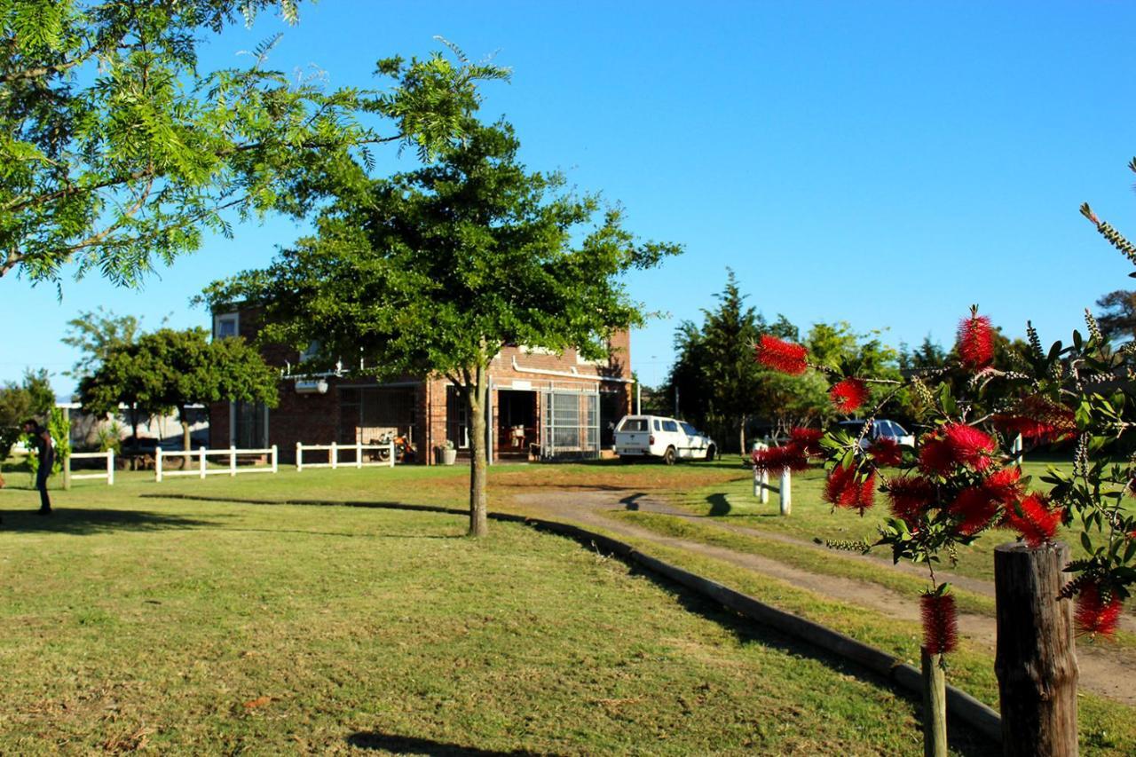 African Adventures Accommodation Durbanville Exterior foto